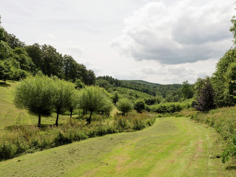 House | Garden