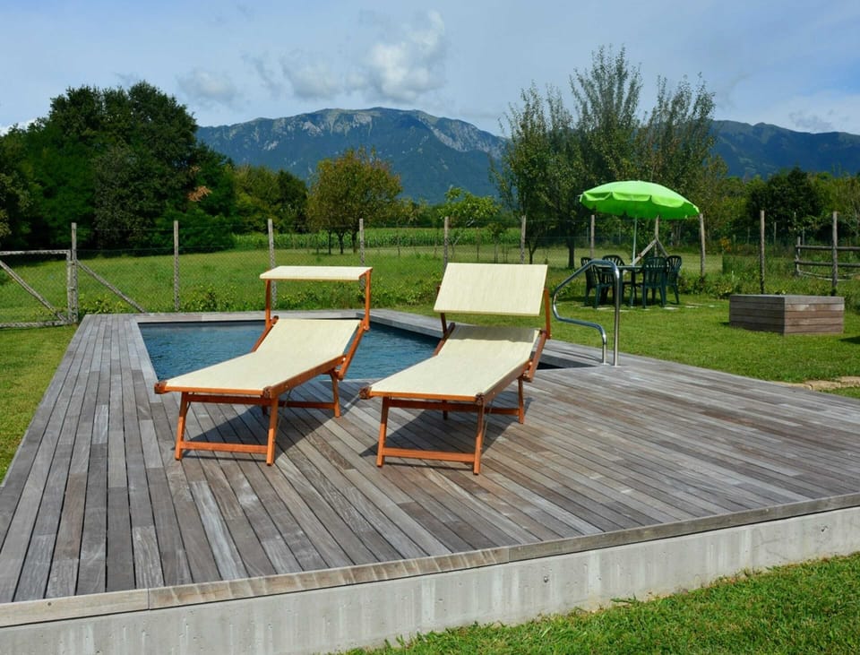 House | Pool | Outdoor pool