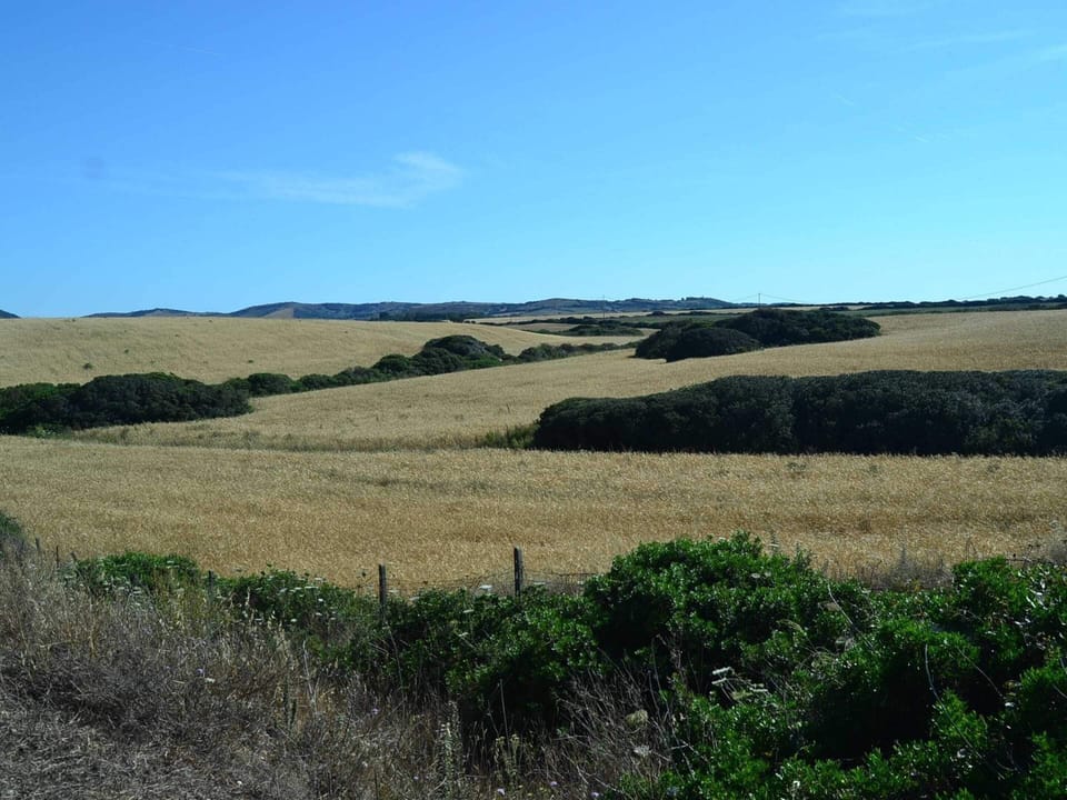 House | View from property