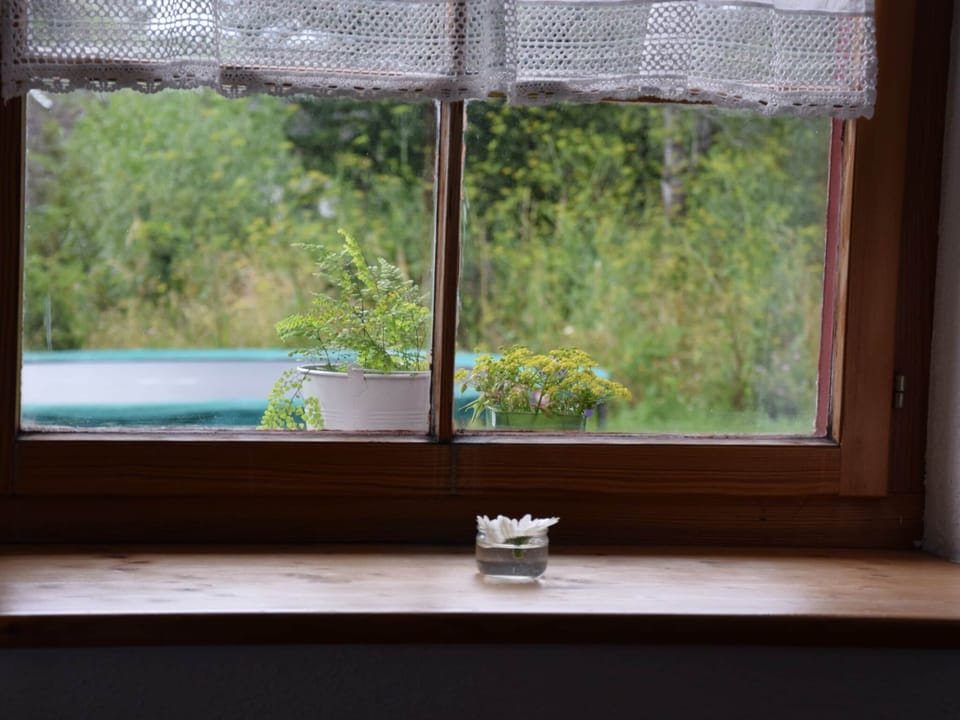 House | View from property