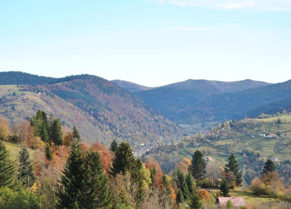 Chalet | View from property