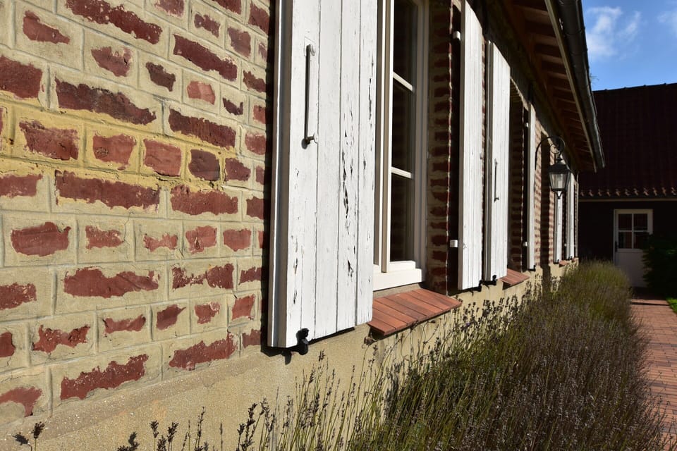 House | Interior detail