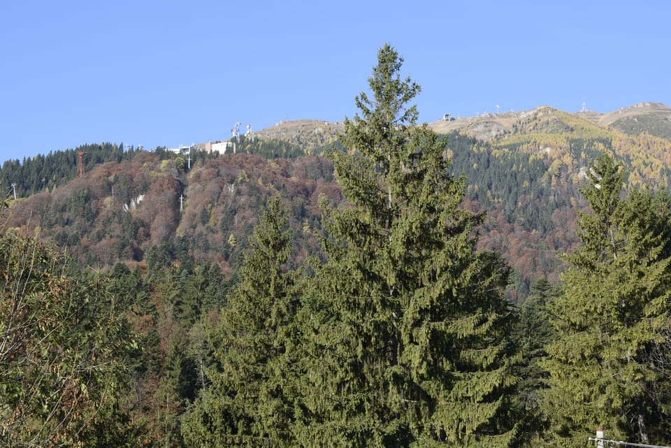 Pensiunea Nicolas Bed and Breakfast in Sinaia