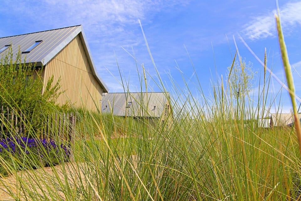 House | View from property