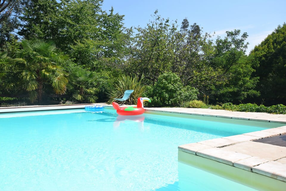 House | Pool | Outdoor pool