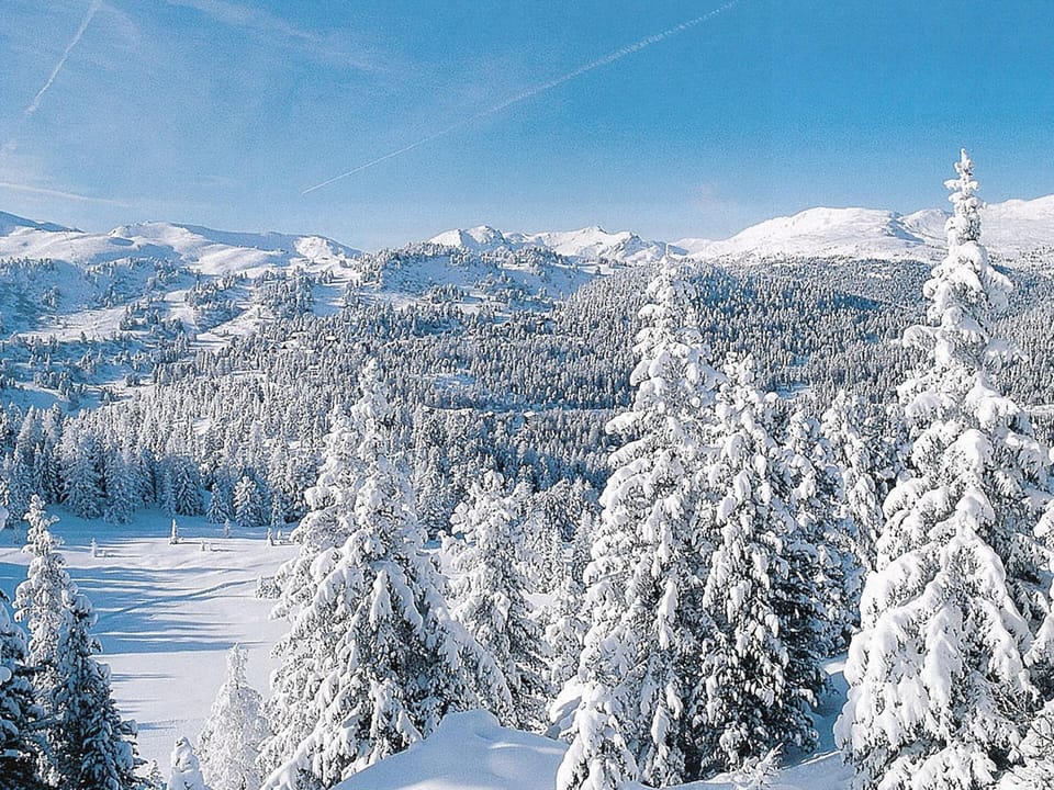 Chalet | View from property