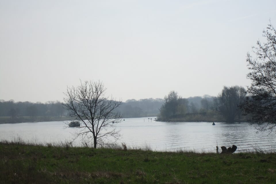 House | View from property