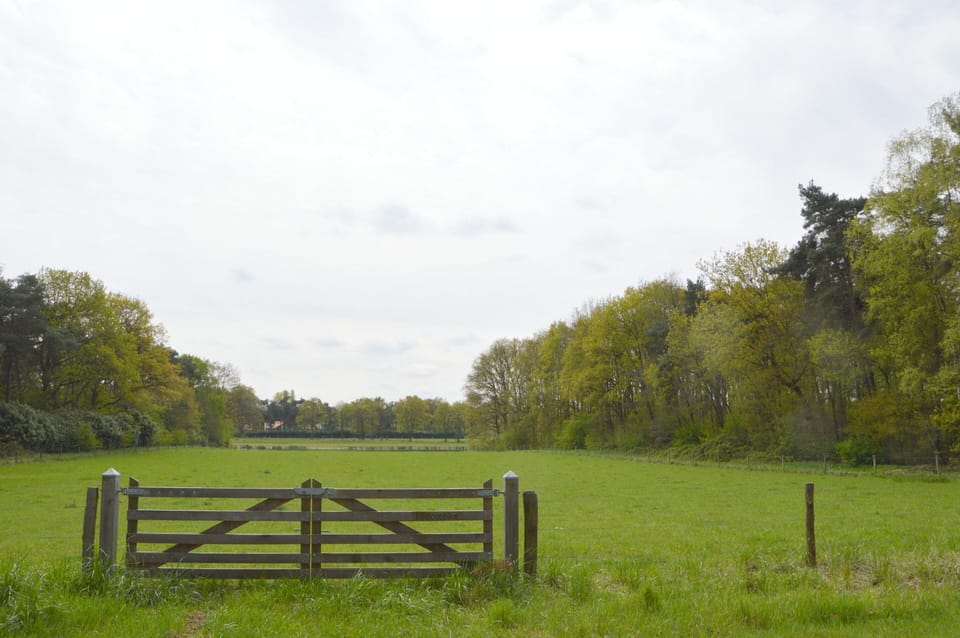 House | View from property