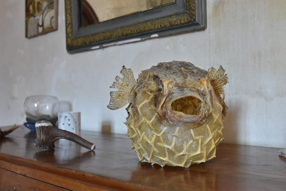 House | Interior detail