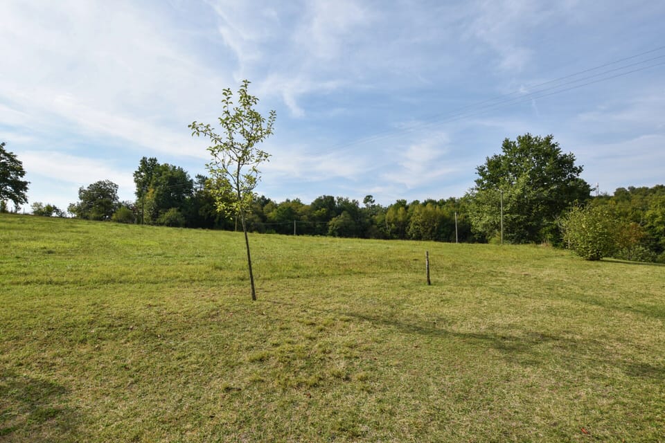 House | View from property