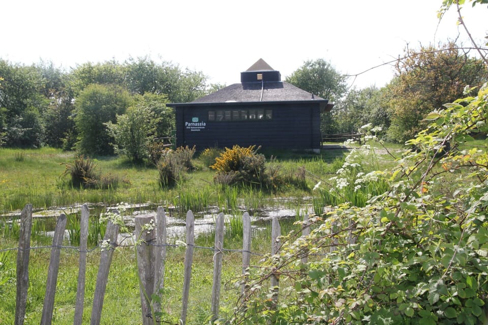 House | View from property