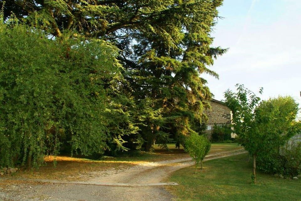 House | View from property