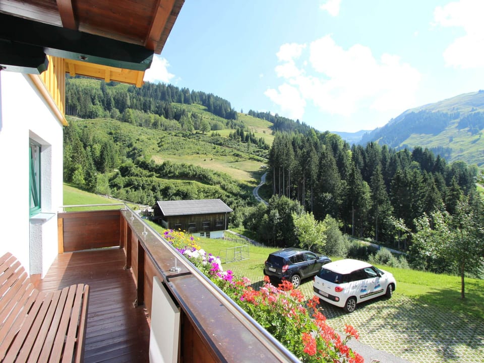 House | View from property