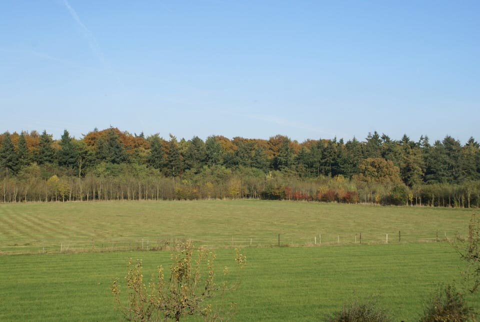 House | View from property