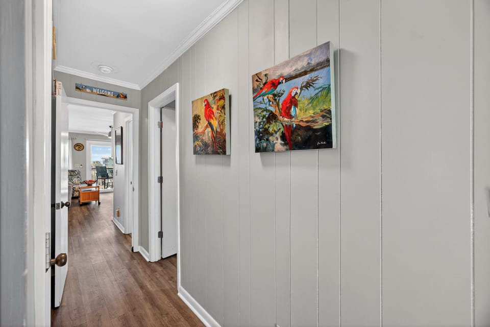 Hallway to bedroom and hall bunks