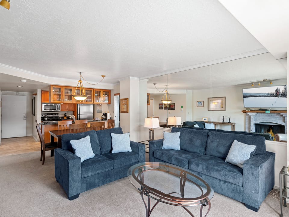 Living Area / Sleep Sofa
