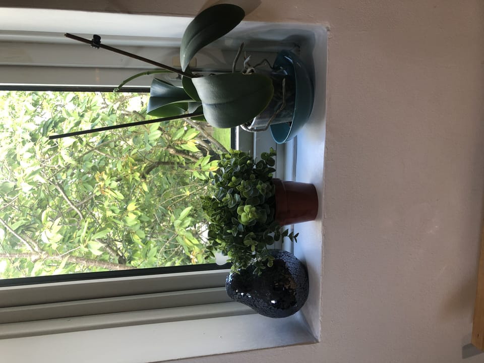 Comfort Apartment, 2 Bedrooms, Kitchen | 2 bedrooms, individually furnished, soundproofing, iron/ironing board