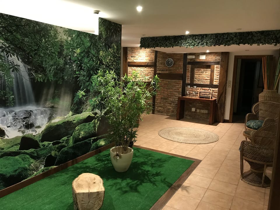 Sauna, hot tub, massages