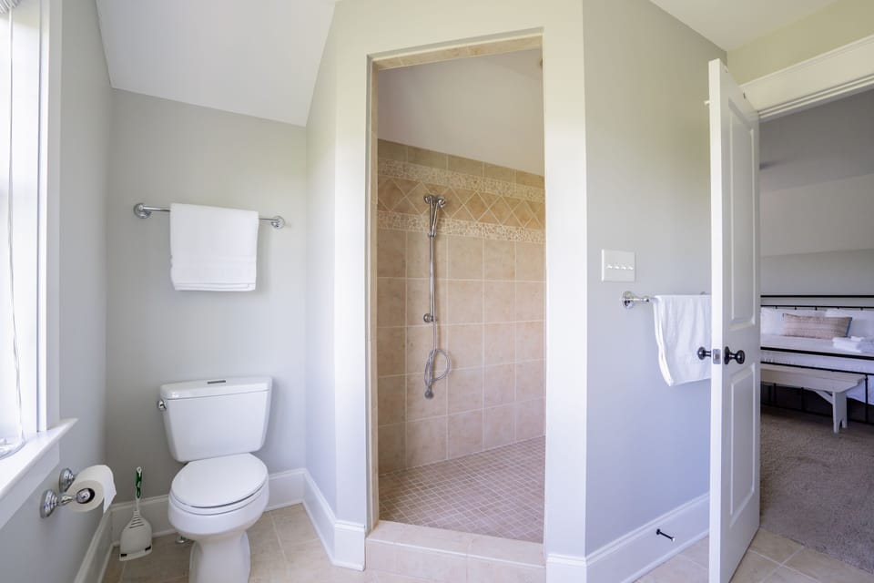 Master bathroom walk-in shower. 
