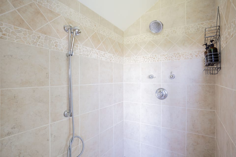 Master bathroom walk-in shower with rain shower head
