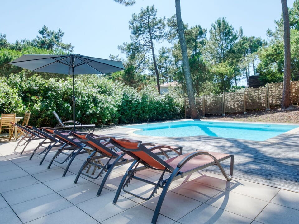 Plant, Furniture, Sky, Chair, Tree, Table, Outdoor Furniture, Shade, Outdoor Table, Leisure