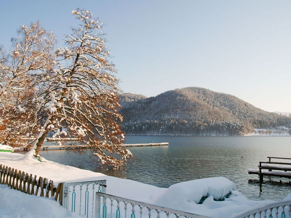 Sky, Water, Daytime, Snow, Nature, Natural Landscape, Wood, Tree, Mountain, Fence