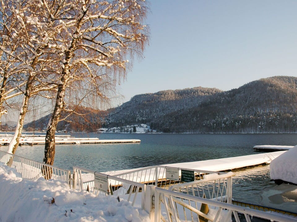 Winter, Snow, Tree, Freezing, Sky, Ice, Water, Lake, Woody Plant, Frost