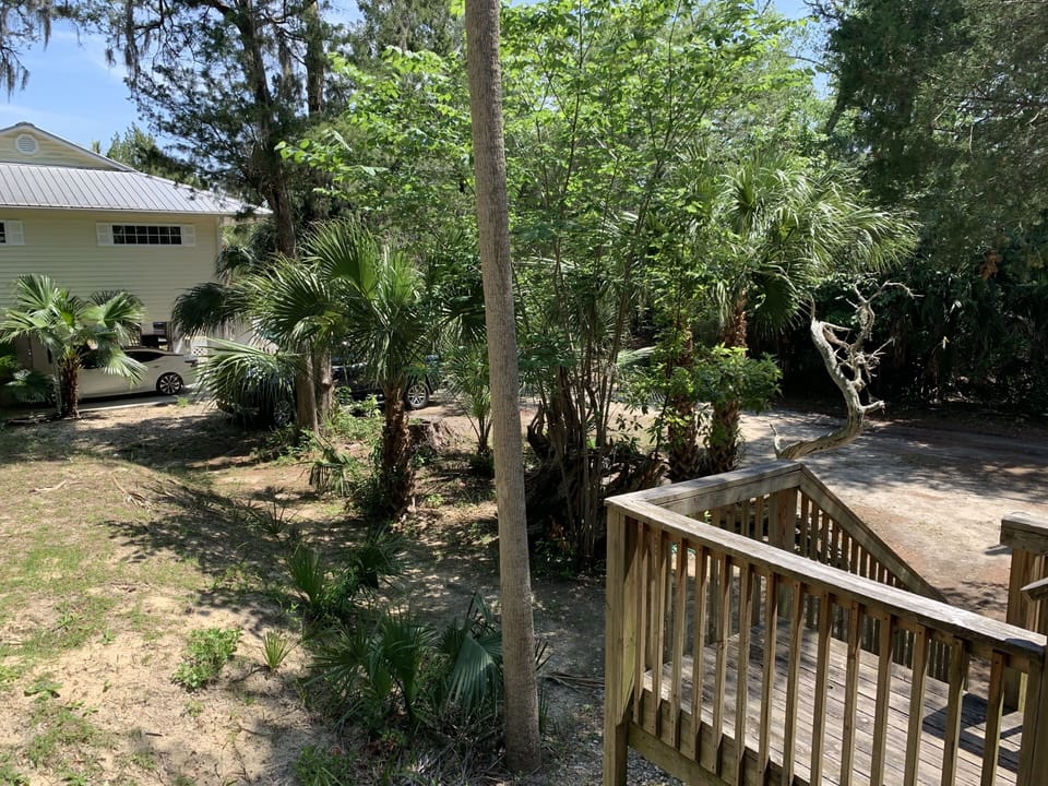 View from porch!