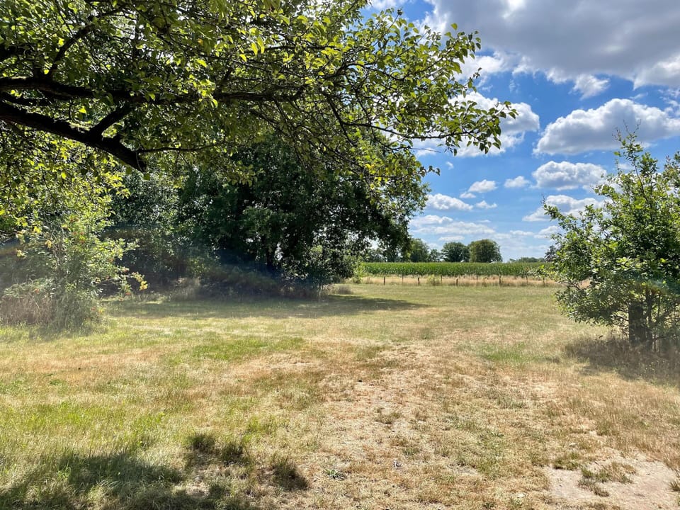 House | View from property