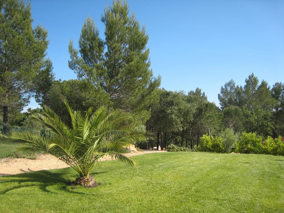 Villa | Garden