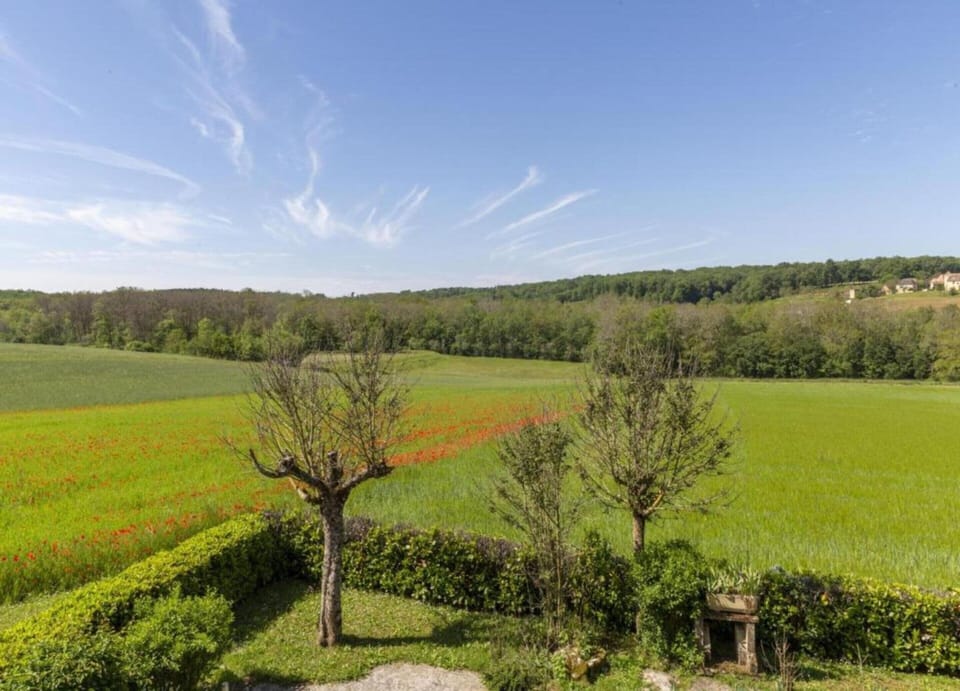 House | View from property