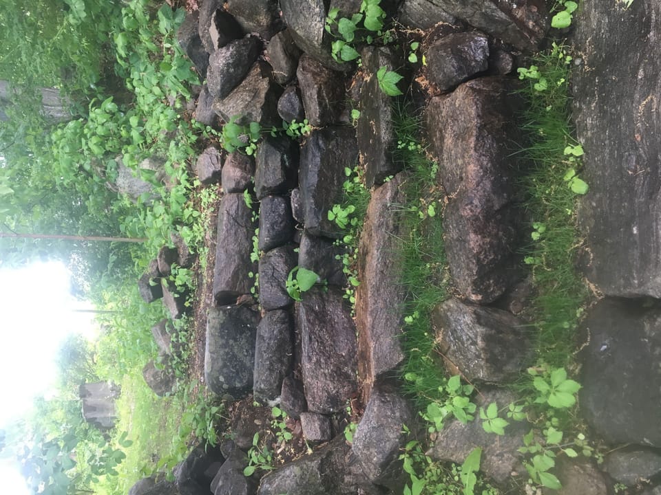 Rock steps down path to waterfront