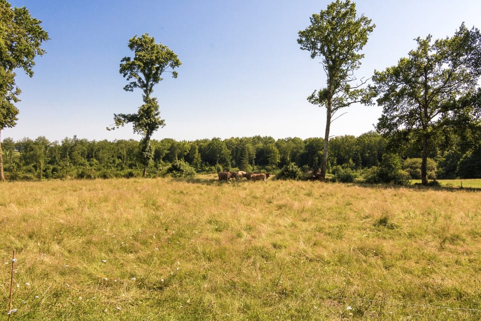 Cottage | View from property