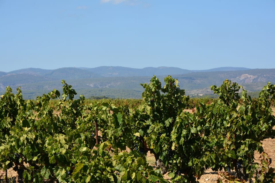 Villa | View from property