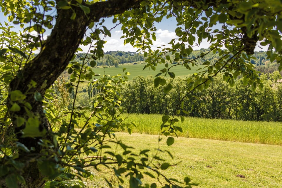 House | View from property