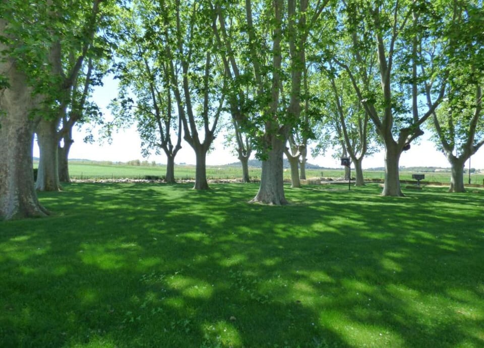 House | View from property