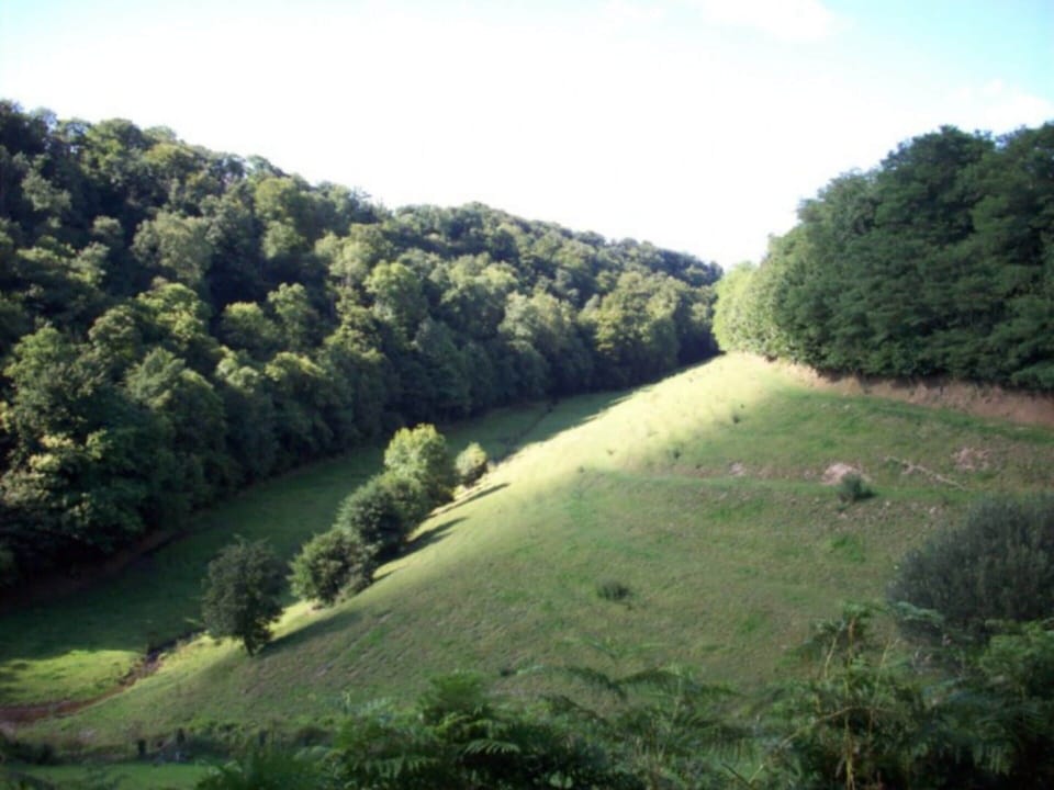 Cottage | View from property