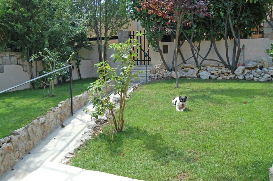 Apartment | Garden