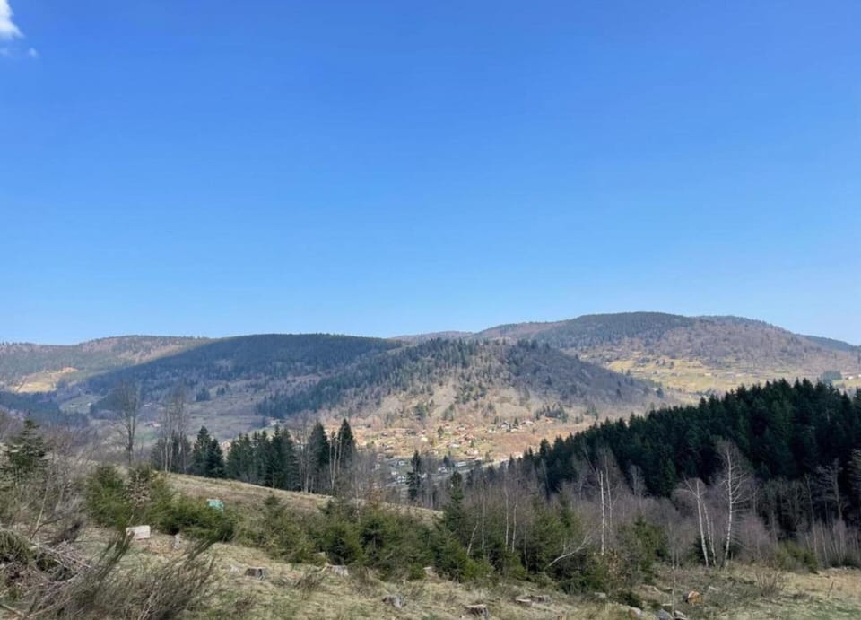 Chalet | View from property