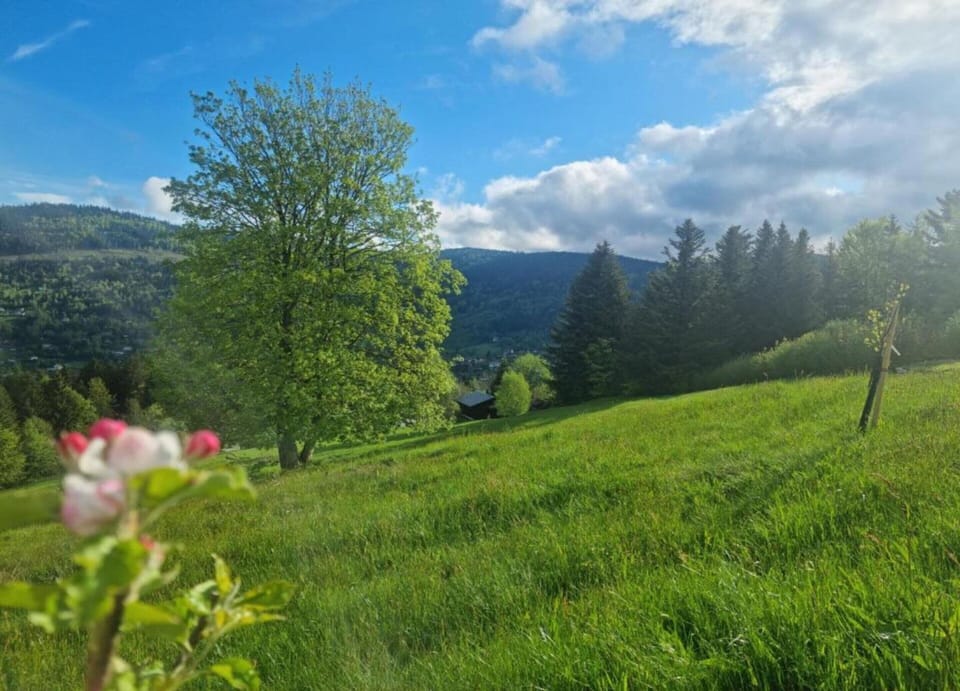 Chalet | View from property