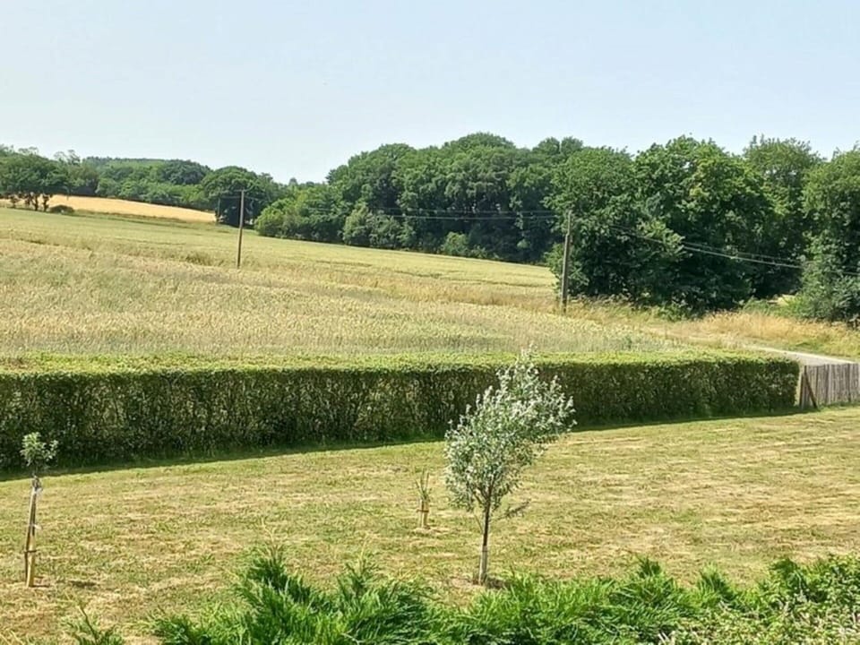 House | View from property