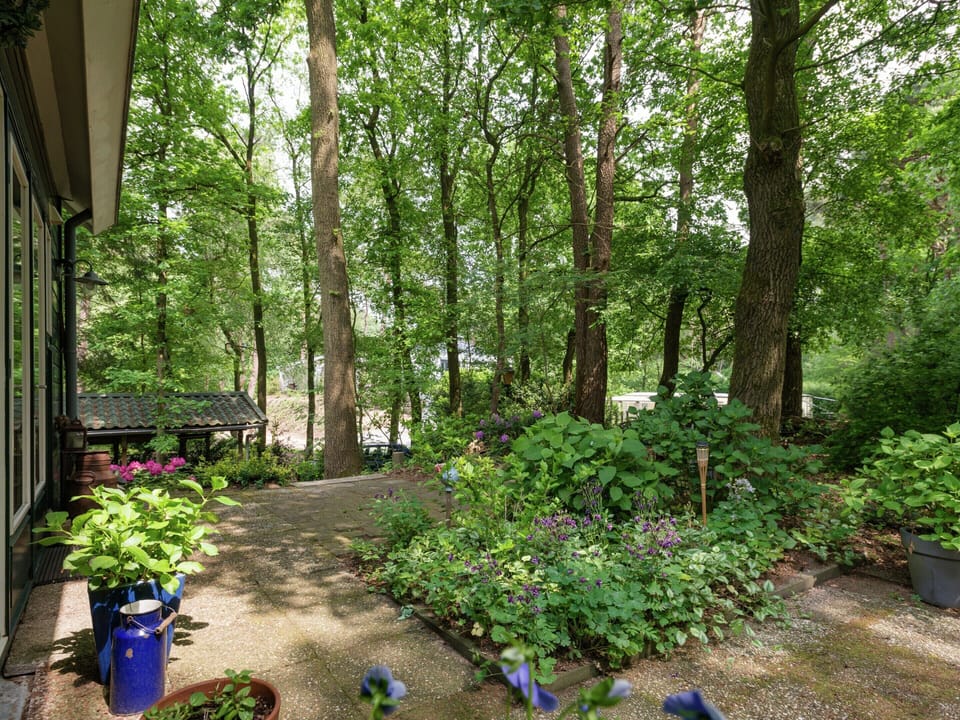 House | Garden
