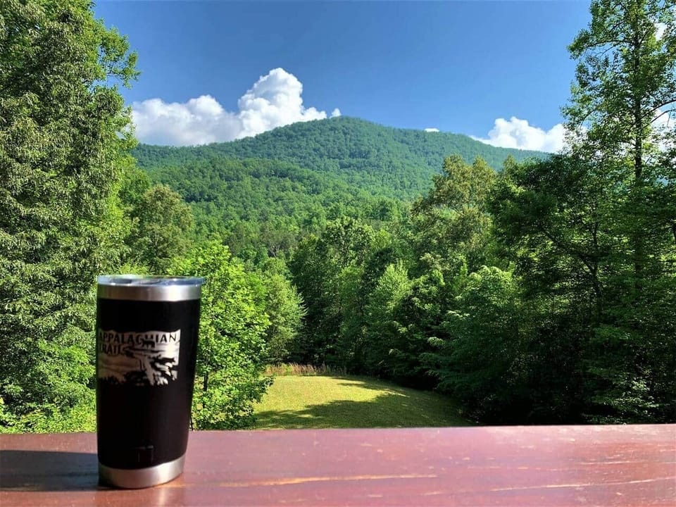 View from deck in summer