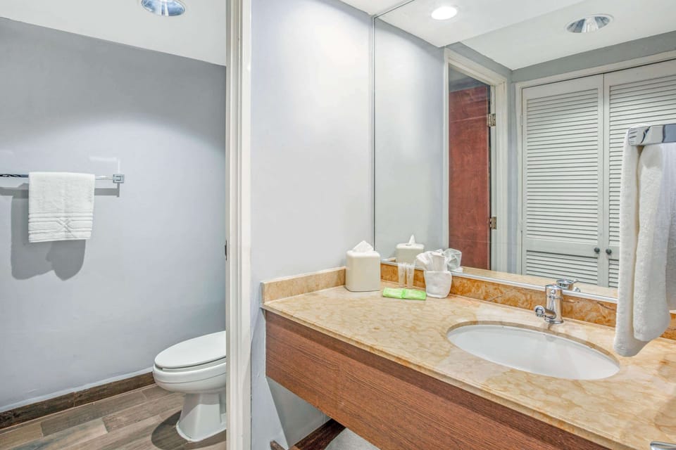 Basic Room, 1 King Bed, Non Smoking, City View | Bathroom | Shower, free toiletries, hair dryer, bidet