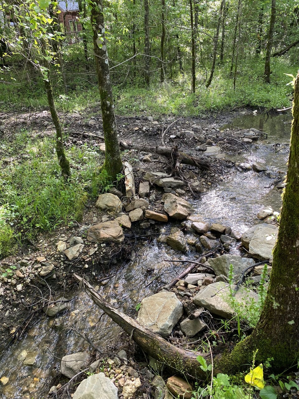Creek in the secluded backyard