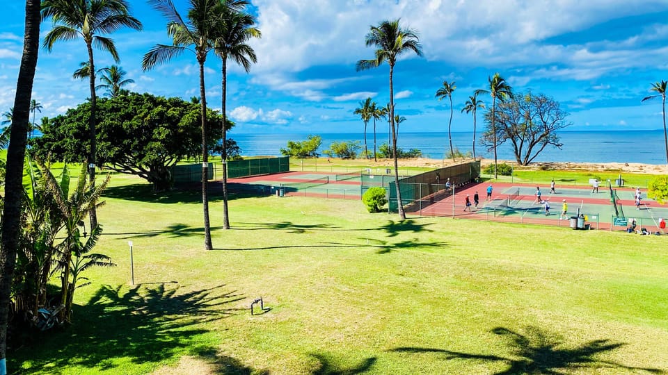 Sport court