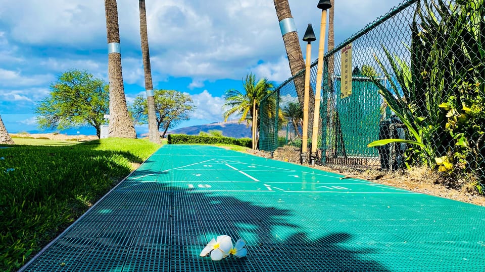 Sport court