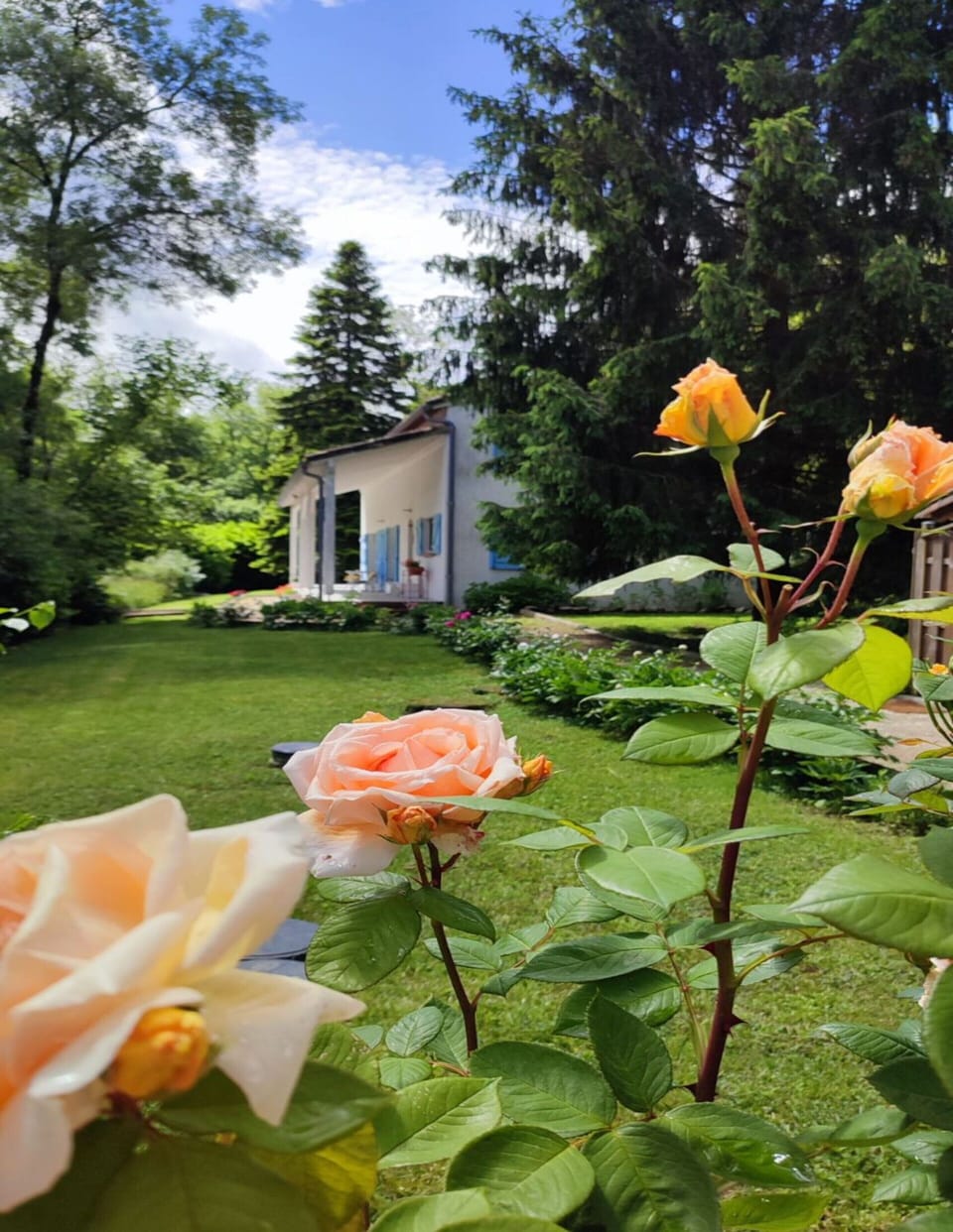 Villa | Garden