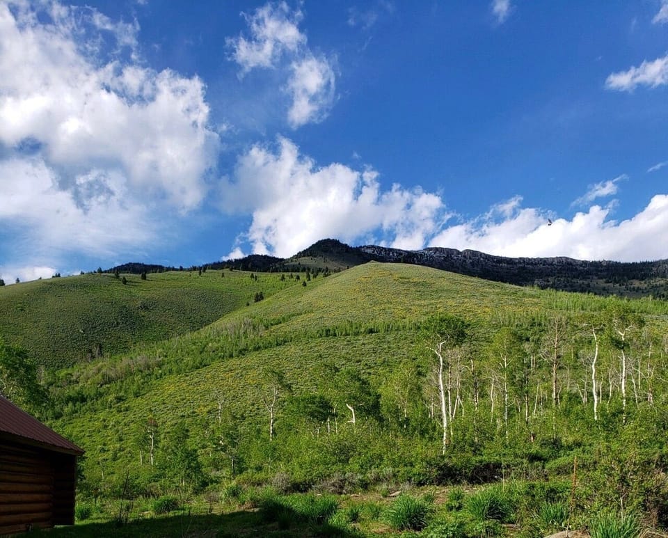 VIEW FROM BACK OF HOUSE!