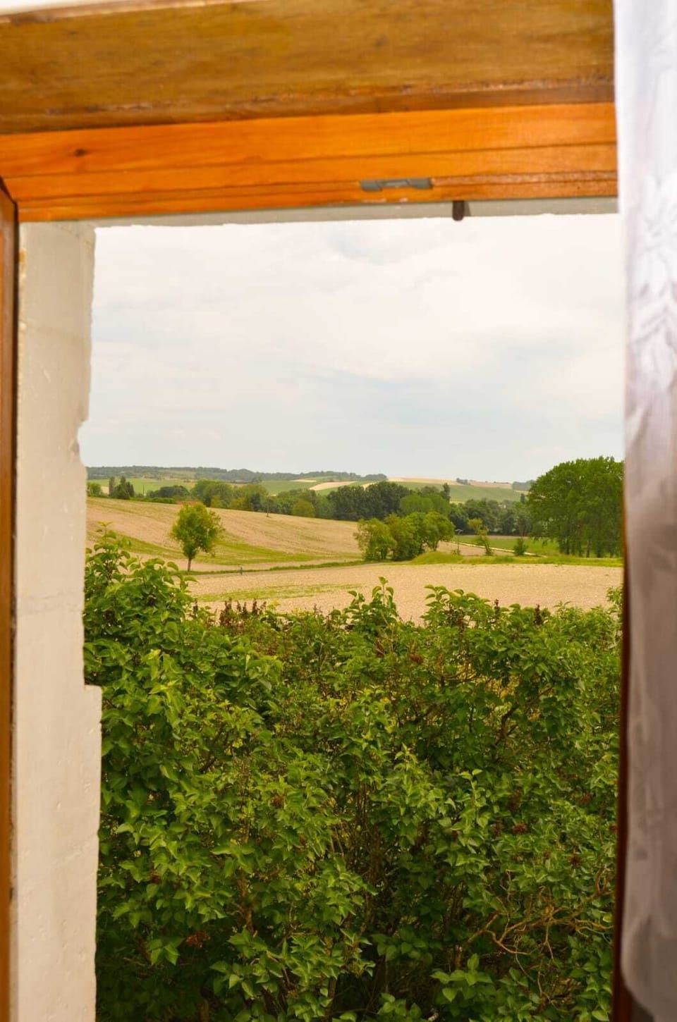 The Morning view from Bedroom